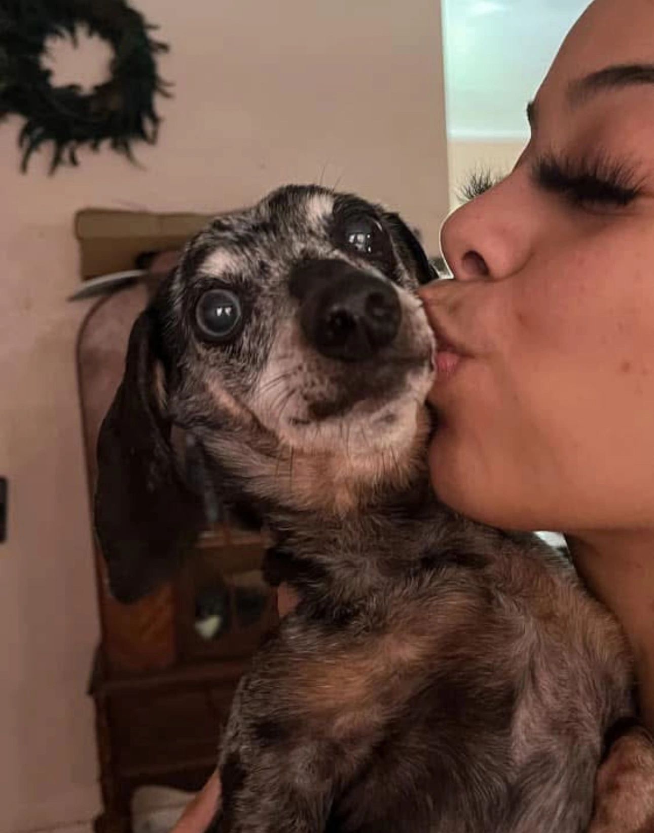 Affordable spay neuter services at hurleys haven vet care